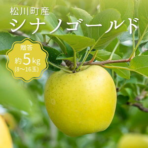 yӂ邳Ɣ[Łz VimS[h  5kgi8`16ʁj  쌧 쒬 MB@KR12