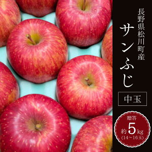 yӂ邳Ɣ[Łz Tӂ   or  5kg / 11{`z\ // 쌧 쒬 MB KR15 KR16