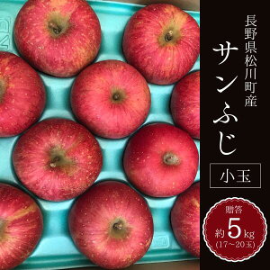 yӂ邳Ɣ[Łz Tӂ   or  5kg / 11{`z\ // 쌧 쒬 MB KR15 KR16
