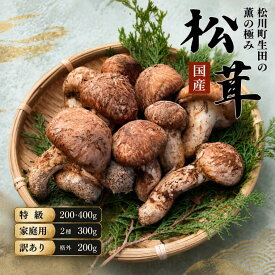 【ふるさと納税】梅松苑 生田松茸 約400g 贈答// 松川町産 長野県 信州 国産 まつたけ マツタケ 松茸 土瓶蒸し 松茸ごはん 秋の味覚 きのこ キノコ 野菜 訳あり 贈答用 選べる 等級 BE05