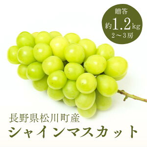 yӂ邳Ɣ[ŁzVC}XJbg i 1.2kg^9{` // 쒬Y Mtg Ȃ Ԃǂ VC }XJbg 쌧  ʕ t[c  2[`3[ KG02