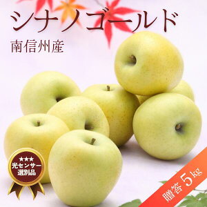 yӂ邳Ɣ[Łz VimS[h 5kg^2025N10{`11{z //쌧 xZT[I IWii MB  Mtg Z Â _  d VLVL V