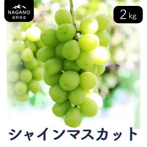 yӂ邳Ɣ[ŁzԂǂ VC}XJbgi쌧YGij 1kgE 2kg ^9{`11{ z\ // Ȃ 炲  uhE Ԃǂ 쌧 MB VC }XJbg 嗱 