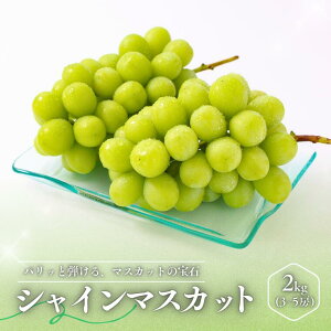 �y�ӂ邳�Ɣ[�Łz��2026�N�x������ �Ԃǂ� �V���C���}�X�J�b�g�i���쌧�Y�G�i�j ��1kg�E ��2kg �^9�����{�`11����{�� �z���\�� // �t���[�c �ʕ� �u�h�E �Ԃǂ� �V���C�� �}�X�J�b�g �Â� �嗱 