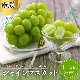 【ふるさと納税】＊楽天限定 訳あり約1〜2kg シャインマスカット ＊ 『選べる規格！ シャインマスカット 』 / 9月下旬～11月頃 配送// ふるさと納税 訳あり シャイン マスカット 訳ありぶどう ブドウ 葡萄 フルーツ 果物 人気 プレゼント 長野 1kg 2kg ふるさと納税