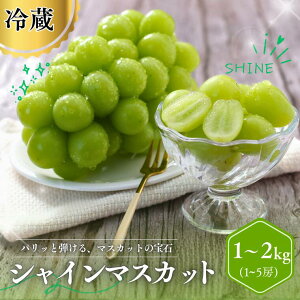 【ふるさと納税】＊楽天限定 ランキング上位入賞＊ シャインマスカット 1k...