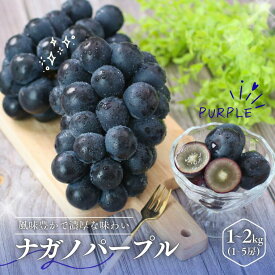 【ふるさと納税】＊2026年度発送＊ぶどう ナガノパープル （長野県産秀品） 約1kg・ 約2kg ／8月下旬～10月上旬頃 配送予定 // ナガノ パープル 葡萄 ブドウ ぶどう 種なし 長野県 南信州 オリジナル品種 稀少 ぶどう三姉妹 MS32 MS33