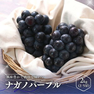 �y�ӂ邳�Ɣ[�Łz��2026�N�x�������Ԃǂ� �i�K�m�p�[�v�� �i�G�i�j ��1kg�E ��2kg �^8�����{�`10����{�� �z���\�� // �i�K�m �p�[�v�� ���� �u�h�E �Ԃǂ� ��Ȃ� ���쌧 ��M�B �I���W�i���i��