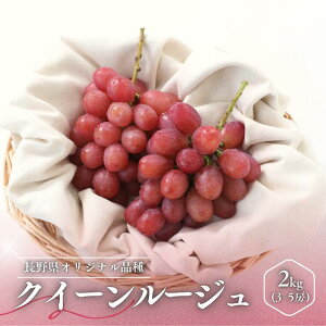 �y�ӂ邳�Ɣ[�Łz��2026�N�x�������Ԃǂ� �N�C�[�����[�W���i�G�i�j ��1kg�E ��2kg �^10�����{�`11�����{�� �z���\�� // �t���[�c �ʕ� �u�h�E �Â� ��Ȃ� �H�� �V�i�� ���쌧 ��M�B �����x ��