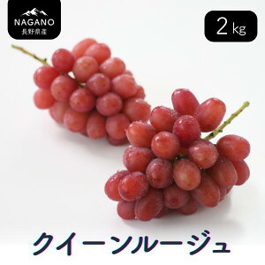 yӂ邳Ɣ[ŁzԂǂ NC[[WRi쌧YGij 1kgE 2kg ^10{`11{ z\ // H Vi 쌧 MB x  uhE Â Ȃ 炲 ԂǂOo