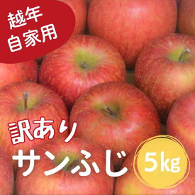 【ふるさと納税】りんご サンふじ 越年自家用（松川町産）約5kg／2027年1月中旬～2月上旬頃 配送予定 // 長野県 南信州 さんふじ サンフジ ふじりんご 訳あり 訳アリ 家庭用 自家用 年明け配送 AS12