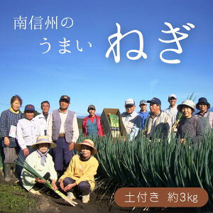 yӂ邳Ɣ[Łzyt˂ 3kg ^2025N12{`2026N2{z\ // 쌧 MBY  MB VN lM lM ˂ ˂ lM JA24