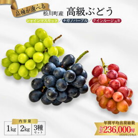 【ふるさと納税】 ＊2026年度発送＊ 品種が選べる長野県松川町産高級ぶどう 1kg or 2kg or 3種セット 長野県産 産地直送 シャインマスカット クイーンルージュ ナガノパープル 高糖度 ランキング／2026年9月中旬〜10月発送予定［TK001］