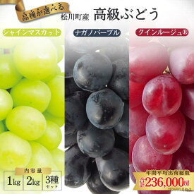 【ふるさと納税】『糖度にこだわる！選べる3種ぶどう』各種(1kg,2kg)又は3種セット(1.5kg)／2026年9月中旬〜10月発送予定 //ふるさと納税 シャインマスカット クイーンルージュ ナガノパープル ぶどう ブドウ 葡萄 長野 人気 フルーツ 果物 プレゼント 甘い 高級 高糖度