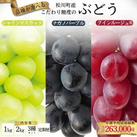 【ふるさと納税】＊総合ランキング急上昇＊『糖度にこだわる！選べる3種ぶどう...