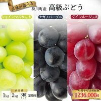 【ふるさと納税】＊ランキング上位入賞＊『糖度にこだわる！選べる3種ぶどう』...