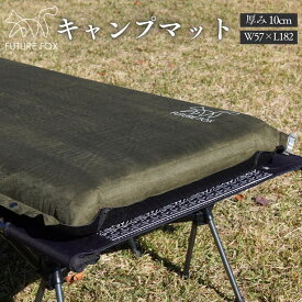 【ふるさと納税】FUTURE FOX (フューチャー フォックス) 10cmエアマット (FF11)