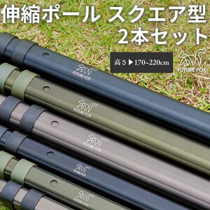 yӂ邳Ɣ[ŁzLv AEghA FUTURE FOX (t[`[ tHbNX) Lk|[ XNGA^ 170~220cm@S3FiI[uEubNEK^j