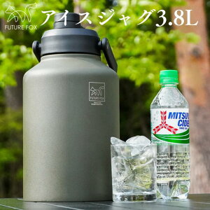 yӂ邳Ɣ[ŁzLv AEghA FUTURE FOX (t[`[ tHbNX) ACXWO 1.9L or 3.8L (FF18-01`02)