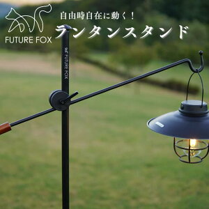 yӂ邳Ɣ[ŁzLv AEghA FUTURE FOX (t[`[ tHbNX) ^X^h (FF09)