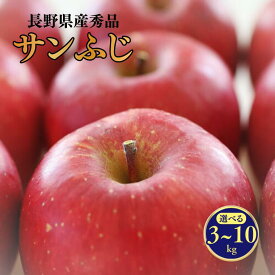 【ふるさと納税】＊2026年度発送＊ りんご サンふじ（長野県産秀品）約3kg・約5kg・約10kg ／11月下旬～12月中旬頃配送予定 // 長野県 南信州 サンふじ りんご 果物 フルーツ 5kg 10kg MS14 MS15 MS16