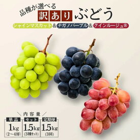 【ふるさと納税】＊ランキング入賞＊『糖度にこだわる！選べる [訳あり] 3種のぶどう』単品1kg or 3種セット1.5kg or 定期便（シャインマスカット／クイーンルージュ／ナガノパープル ）2026年8月〜10月頃発送 //ふるさと納税 訳あり 食べ比べ ぶどう 葡萄 フルーツ 果物