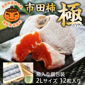 【ふるさと納税】市田柿【長野県産】市田柿＜極＞2Lサイズ（12個入り）2026年1月上旬より発送 信州 南信州 高森町 柿 干し柿 かき 高級 和菓子 お茶請け ドライフルーツ 個包装 ギフト 贈答 プレゼント 自然食品 山下屋荘介【配送不可地域：離島】