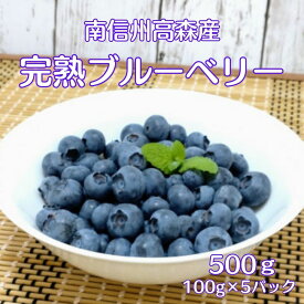 【ふるさと納税】完熟ブルーベリー 500g【7月初旬より発送】【配送不可地域：離島】