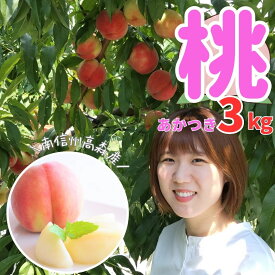 【ふるさと納税】桃 あかつき 3kg,6kg 2026年7月下旬より発送 長野県 信州 南信州 高森町 農家直送 果物 くだもの もも モモ 旬 旬の果物 旬の桃 完熟収穫 ともの谷農園【配送不可地域：離島】