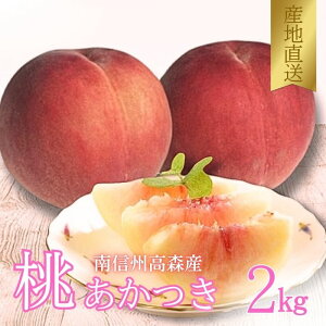 yӂ邳Ɣ[Łz yMBXYz{̓ 2kg 2026N7{蔭 쌧 MB _ƒ ʕ    { {̉ʕ {̓ ̂肽 L@͔| n {_