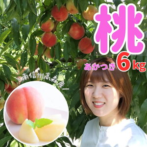 �y�ӂ邳�Ɣ[�Łz�� ������ 3kg,6kg 2026�N7�����{��蔭�� ���쌧 �M�B ��M�B ���X�� �_�ƒ��� �ʕ� �������� ���� ���� �{ �{�̉ʕ� �{�̓� ���n���n �Ƃ��̒J�_���y�z���s�n��F�����z