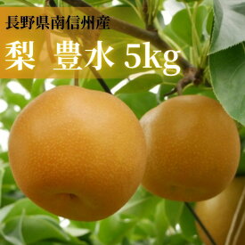 【ふるさと納税】【数量限定】梨(豊水)5kg 9月上旬より順次発送 長野県 信州 南信州 高森町 農家直送 果物 くだもの なし ナシ 和梨 旬 旬の果物 旬の梨 ほうすい いちだ農産【配送不可地域：離島】