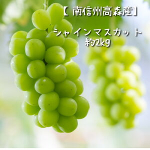 yӂ邳Ɣ[ŁzyMBXYzVC}XJbg1.2kg` 2026N9{蔭 쌧 MB _ƒ ʕ  Ԃǂ {̂Ԃǂ VC RԂǂgyzsnF