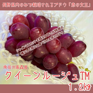 yӂ邳Ɣ[ŁzyMBXYzNC[[WTM 1.2kg 2026N9{蔭 쌧 MB _ƒ ʕ  Ԃǂ {̂Ԃǂ [W RԂǂgyzsnF