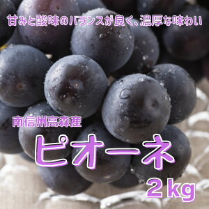 yӂ邳Ɣ[ŁzyMBXYzsI[l2kg 2025N9{蔭 쌧 MB _ƒ ʕ  Ԃǂ {̂Ԃǂ RԂǂgyzsnFz