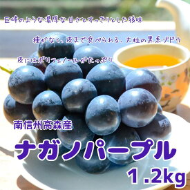 【ふるさと納税】【南信州高森産】令和8年度先行受付ナガノパープル 約1.2kg 2026年8月中旬より発送 長野県 信州 農家直送 果物 くだもの ぶどう 旬のぶどう パープル 山吹ぶどう狩り組合【配送不可地域：離島】