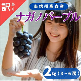 【ふるさと納税】ナガノパープル 訳あり2kg（3～6房）＜8月下旬より発送＞【配送不可地域：離島】