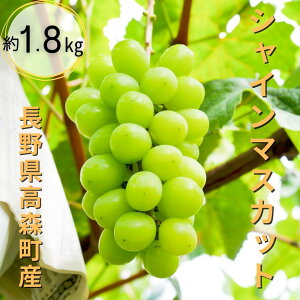 yӂ邳Ɣ[ŁzW[V[ȃVC}XJbg 1.8kg 9{蔭 쌧 MB MB X _ƒ ʕ  Ԃǂ {̂ԂǂyzsnFz