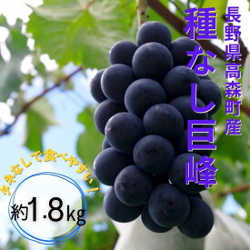【ふるさと納税】【南信州高森産】種なし巨峰約1.8kg＜8月中旬より発送＞【配送不可地域：離島】