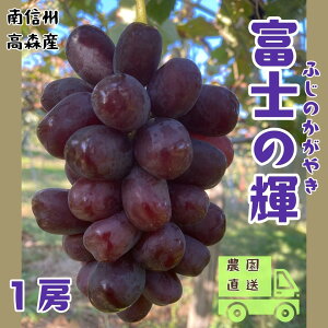 yӂ邳Ɣ[ŁzyMBXYz󏭂Ԃǂ xm̋P 1[ 쌧 MB _ƒ ʕ  Ԃǂ {̂Ԃǂ ߉_yzsnFz