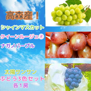 yӂ邳Ɣ[Łz2026N zTT Ԃǂ3FZbg e1[2026N8蔭 쌧 MB MB X _ƒ ʕ  Ԃǂ {̂Ԃǂ VC}XJbg NC[