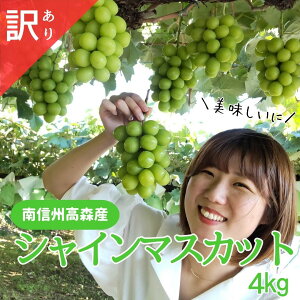 yӂ邳Ɣ[ŁzVC}XJbg 󂠂2kg` 9{蔭 쌧 MB MB X _ƒ ʕ  Ԃǂ {̂Ԃǂ VC ƒp Ƃ̒J_yzsnF