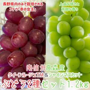 yӂ邳Ɣ[ŁzNC[[WTMVC}XJbgԂǂ2Zbg1.2kg 2026N9{蔭 쌧 MB MB X _ƒ ʕ  Ԃǂ {̂Ԃǂ RԂǂ