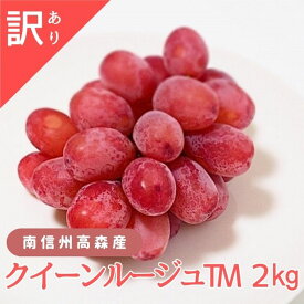 【ふるさと納税】ぶどう クイーンルージュ 訳ありクイーンルージュTM 2kg・4kg 9月下旬より発送開始 長野県 信州 南信州 高森町 農家直送 果物 くだもの ぶどう 旬のぶどう ご家庭用 ともの谷農園【配送不可地域：離島】
