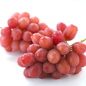 yӂ邳Ɣ[ŁzyYnI!z쌧YENC[[Wi1kg`jGi 10{蔭 MB MB X Yn ʕ  Ԃǂ {̂Ԃǂ RyzsnF