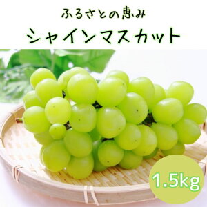 yӂ邳Ɣ[ŁzyMBXYzӂ邳Ƃ̌b݃VC}XJbg1.5kg 쌧 MB _ƒ ʕ  Ԃǂ {̂Ԃǂ FbyzsnFz