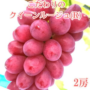 �y�ӂ邳�Ɣ[�Łz�y�����p�n�E�X�͔|�z�������̃N�C�[�����[�W��(R) 2�[1.2kg�ȏ� 2026�N7�����{��蔭���y�z���s�n��F�����z