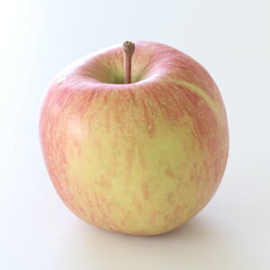 yӂ邳Ɣ[Łzy󂠂iz 쌧YETӂ (5kg`) 2026N1{蔭 MB MB X Yn ʕ  {̂ ƒp RyzsnFz