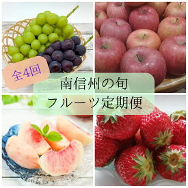 【ふるさと納税】旬のフルーツ定期便(全4回) 長野県 信州 南信州 高森町いちご 桃 シャインマスカット りんご 紅ほっぺ 章姫 もも ぶどう くだもの【配送不可地域：北海道,沖縄,離島】