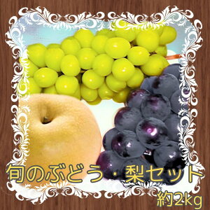yӂ邳Ɣ[ŁzyMBXYz{̂ԂǂEZbg 2kg 9{蔭Jn 쌧 MB ʕ  t[c VC}XJbg sI[l 쐅yzsnFz